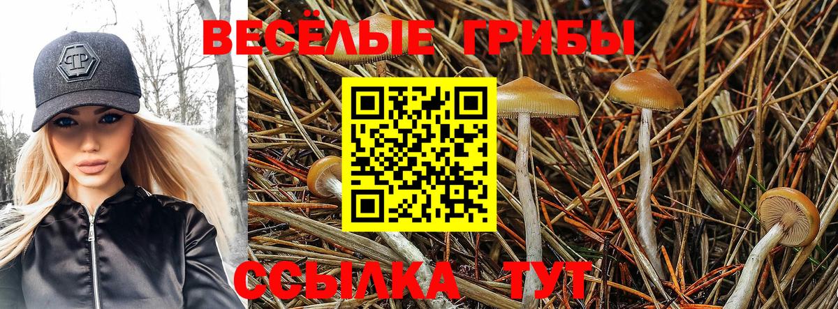 Галлюциногенные грибы мицелий Каменка
